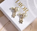 DIOR Earring best quality