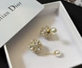 DIOR Earring best quality