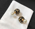 DIOR Earring best quality