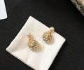 DIOR Earring best quality
