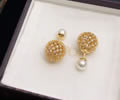 DIOR Earring best quality