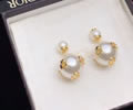 DIOR Earring best quality