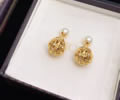 DIOR Earring best quality