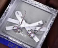 DIOR Earring best quality