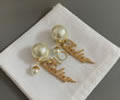 DIOR Earring best quality