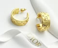 DIOR Earring best quality