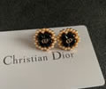 DIOR Earring best quality