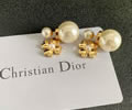 DIOR Earring best quality