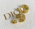 DIOR Earring best quality