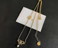 DIOR Necklace best quality