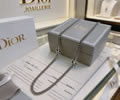 DIOR Necklace best quality
