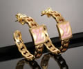 LV Earring best quality