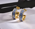 LV Earring best quality