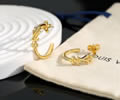 LV Earring best quality
