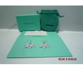 Tiffany & CO Earring