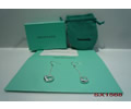 Tiffany & CO Earring