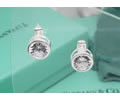 Tiffany & CO Earring
