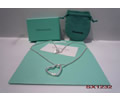 Tiffany & CO Necklace