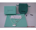 Tiffany & CO Necklace