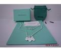 Tiffany & CO Necklace