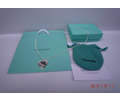 Tiffany & CO Necklace