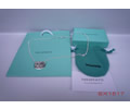Tiffany & CO Necklace
