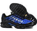Nike Air Max Plus Tn men shoes