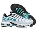 Nike Air Max Plus Tn men shoes