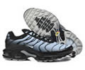 Nike Air Max Plus Tn men shoes