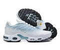 Nike Air Max Plus DZ3670-100 men shoes