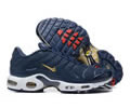 Nike Air Max Plus French Football Federation FB3350-400 men shoes