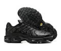 Nike Air Max TN men shoes