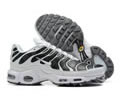Nike Air Max TN men shoes