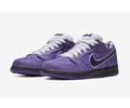 Concepts x Nike SB Dunk Low BV1310-555 Lovers shoes 