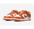 Nike Dunk Low Syracuse CU1726-101 Lovers shoes