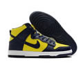 NIKE SB DUNK High Lovers shoes