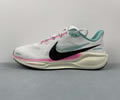 NIKE Air Zoom Pegasus 41 HM3703-161 Men best quality 1:1
