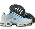 Nike Air Max Plus CZ1651-400 men shoes