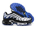 Nike Air Max Plus Persian Violet DB0682-100 men shoes