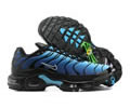 Nike Air Max Plus DV3493-001 men shoes