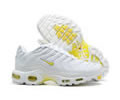 Nike Air Max Plus DV6987-100 men shoes