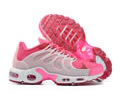 Nike Air Max Terrascape Plus Women shoes