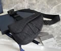 Dior Saddle Bag Top quality 1:1