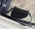 Dior Saddle Bag Top quality 1:1