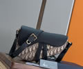 Dior Saddle Bag Top quality 1:1